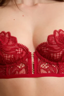 Sujetador bustier de bordado