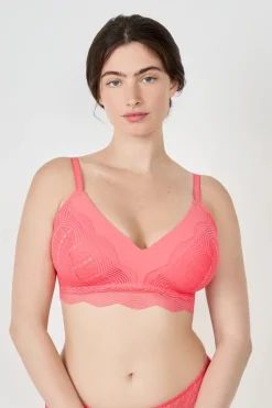 Sujetador triángulo sin aros